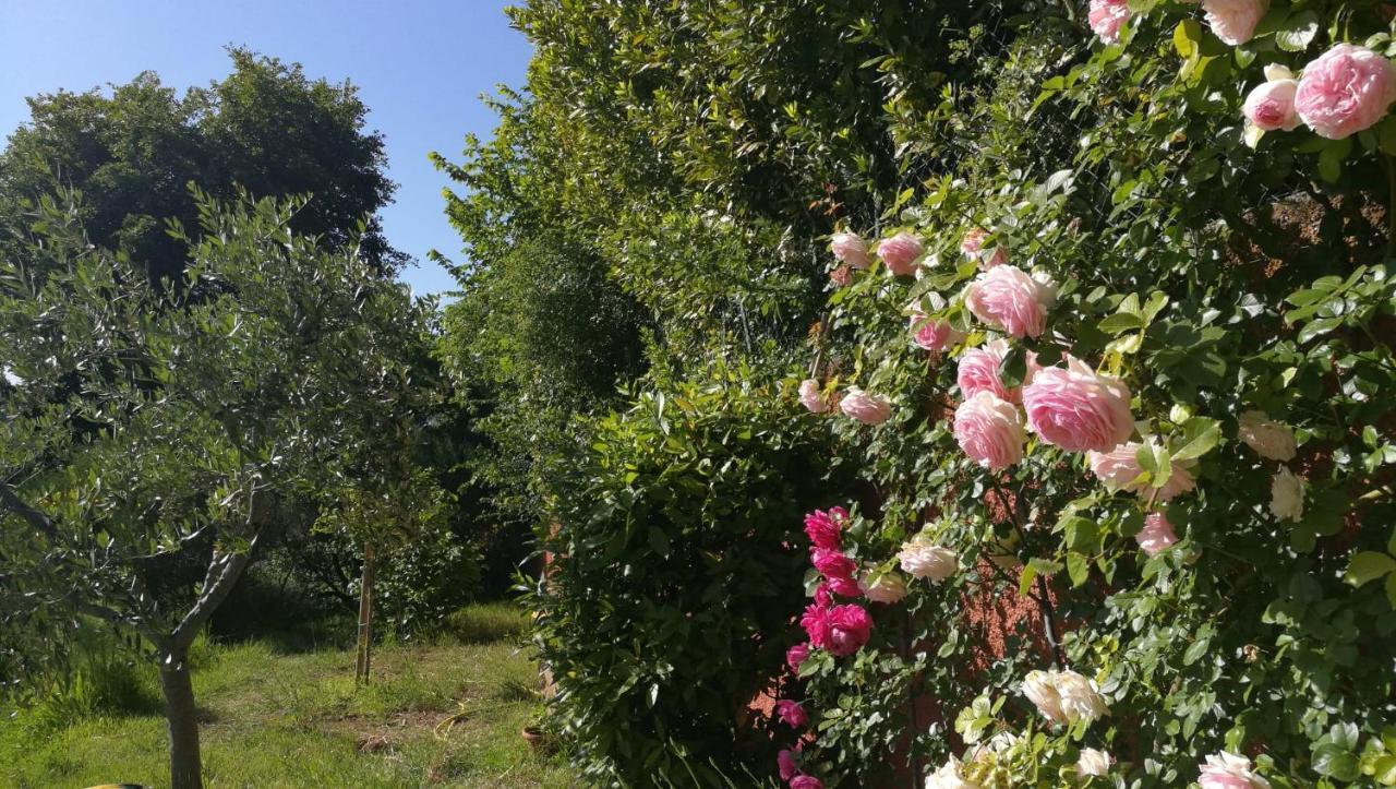 La Merla Περούτζια Εξωτερικό φωτογραφία