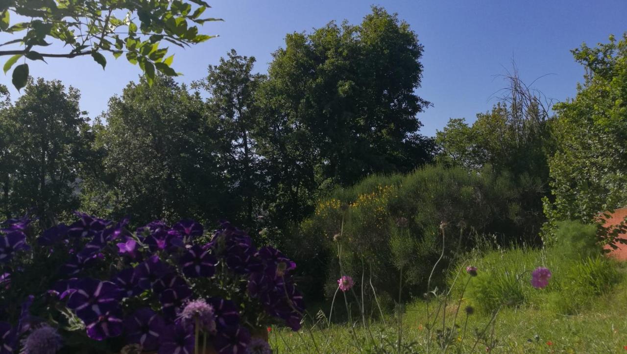La Merla Περούτζια Εξωτερικό φωτογραφία